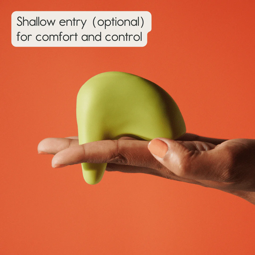 Kiwi Essentials Bundle - Image 3